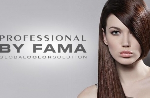 Семинар по Итальянской продукции марки "Professional by Fama"