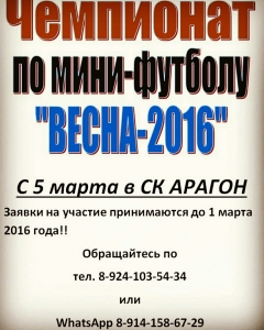 Чемпионат по мини-футболу "Весна-2016"