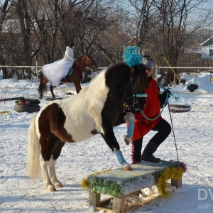 Новогоднее конное шоу "Волшебные кони Деда Мороза"