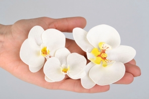 Орхидея из фоамирана (ветка)
