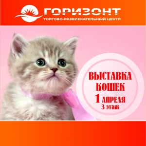  Международная выставка кошек