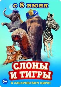 Итальянский цирк с программой "Слоны и Тигры" (0+)