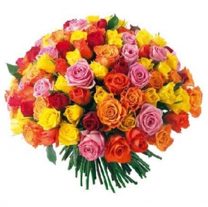 Букет из 51 разноцветной розы всего за 4990 рублей с доставкой от магазина экзотических цветов "Радужные розы"