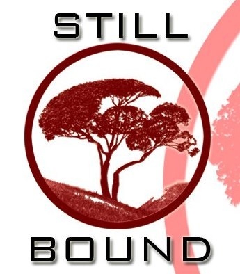 Still Bound, альтернативная поп-рок группа