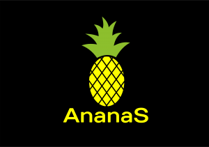 Центр класс AnanaS